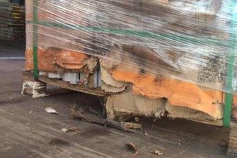 (FOTO) Nemar u Solar gradnji: Evo kako čuvaju solarne panele (FOTO) Nemar u Solar gradnji: Evo kako čuvaju solarne panele