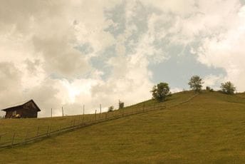 Popisivači nailaze i na naselja sa jednom kućom: Evo koliko ih je u Crnoj Gori Popisivači nailaze i na naselja sa jednom kućom: Evo koliko ih je u Crnoj Gori