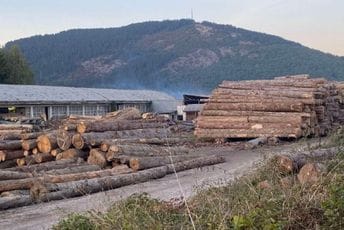 Rožaje: Drva za ogrijev preprodaju na Kosovu Rožaje: Drva za ogrijev preprodaju na Kosovu