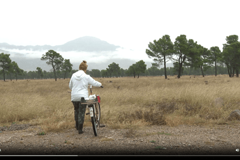 Podgoričanka nema pravo na socijalnu pomoć: Više gladna nego sita, moj život je borba Podgoričanka nema pravo na socijalnu pomoć: Više gladna nego sita, moj život je borba