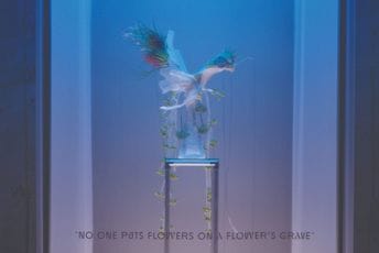 Jer ovo mjesto nije dovoljno da primi toliku samoću: Vila Galeb 28. i 29. oktobra otvara vrata za umjetnički projekat Jer ovo mjesto nije dovoljno da primi toliku samoću: Vila Galeb 28. i 29. oktobra otvara vrata za umjetnički projekat