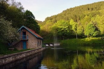 Ekološki incident: Pljevljaci ne mogu u gradski park, ugrožen i riblji fond Ekološki incident: Pljevljaci ne mogu u gradski park, ugrožen i riblji fond