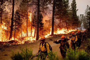 Šumski požar bukti u SAD: Evakuisano više od 4.000 ljudi Šumski požar bukti u SAD: Evakuisano više od 4.000 ljudi