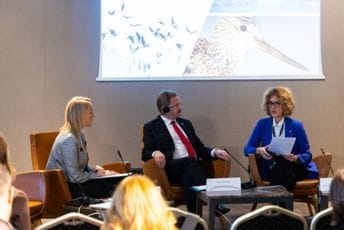 Nova Vlada što prije da donese odluku o formiranju upravljačke strukture Ulcinjske solane Nova Vlada što prije da donese odluku o formiranju upravljačke strukture Ulcinjske solane