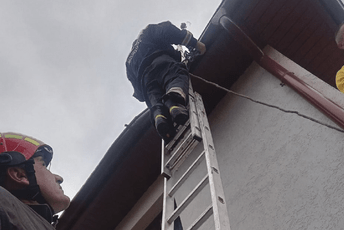 Drvo se obrušilo na kuću u Mojkovcu Drvo se obrušilo na kuću u Mojkovcu