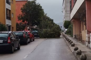 U Herceg Novom vjetar oborio stablo na parkirano vozilo