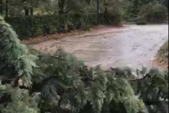 (VIDEO) Nevrijeme i u Nikšiću: Vjetar čupao stabla, intervenisali vatrogasci (VIDEO) Nevrijeme i u Nikšiću: Vjetar čupao stabla, intervenisali vatrogasci