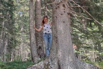 Meko tkivo rađanja Meko tkivo rađanja