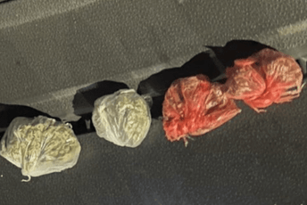 U Igalu uhapšen mladić, zaplijenjena marihuana U Igalu uhapšen mladić, zaplijenjena marihuana