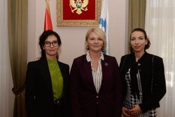 Glavni grad i Women4Cyber Montenegro: Međunarodnom saradnjom do sajber otpornosti