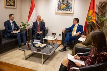 Bečić: Neophodno sprovesti analizu imovinskih kartona funkcionera Bečić: Neophodno sprovesti analizu imovinskih kartona funkcionera