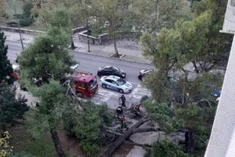 Podgorica: Vatrogasci uklonili drvo sa vozila i saobraćajnice Podgorica: Vatrogasci uklonili drvo sa vozila i saobraćajnice