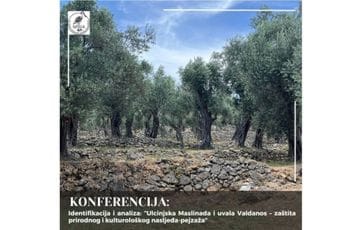 MSJA: Ulcinjska Maslinada i uvala Valdanos budući zakonom zaštićeni kulturni pejzaž MSJA: Ulcinjska Maslinada i uvala Valdanos budući zakonom zaštićeni kulturni pejzaž