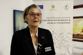 Potencijali za UNESCO listu: Ulcinjska maslinada i uvala Valdanos dragulji neprocjenjive vrijednosti Potencijali za UNESCO listu: Ulcinjska maslinada i uvala Valdanos dragulji neprocjenjive vrijednosti