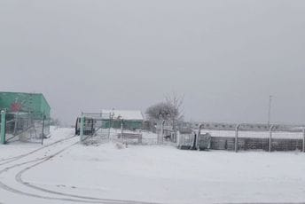 Snijeg napadao i kod Herceg Novog, traže se ćebad za pse u azilu