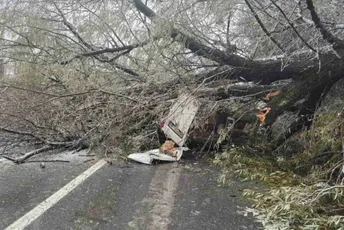 Kod Bijelog Polja drvo palo na automobil, dvije osobe povrijeđene, saobraćaj u prekidu Kod Bijelog Polja drvo palo na automobil, dvije osobe povrijeđene, saobraćaj u prekidu