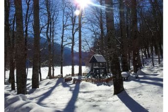 Biogradska gora zatvara kapije za posjetioce Arhiva