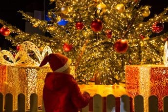 Magija stigla u Portonovi: Svečanim paljenjem više od 20.000 lampica na jelci počela praznična sezona Magija stigla u Portonovi: Svečanim paljenjem više od 20.000 lampica na jelci počela praznična sezona