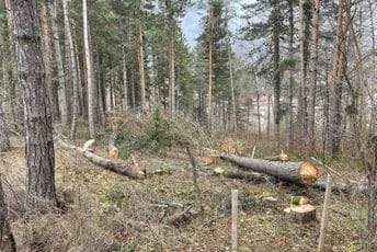Klub odbornika “Zajedno gradimo Kolašin”: Parcela u parku šume Dulovine nakon nelegalne sječe upisana na fizičko lice Dragović Žoržeta Klub odbornika “Zajedno gradimo Kolašin”: Parcela u parku šume Dulovine nakon nelegalne sječe upisana na fizičko lice Dragović Žoržeta
