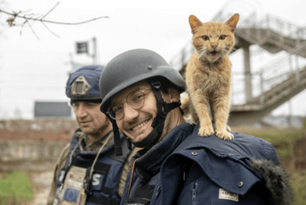 Broj ubijenih novinara ove godine naglo skočio Broj ubijenih novinara ove godine naglo skočio