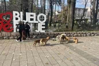 Centralni azil za pse na sjeveru jedino rješenje Centralni azil za pse na sjeveru jedino rješenje