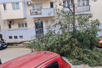 (FOTO) Jak olujni vjetar u Podgorici čupao drveće, oštećen automobil (FOTO) Jak olujni vjetar u Podgorici čupao drveće, oštećen automobil