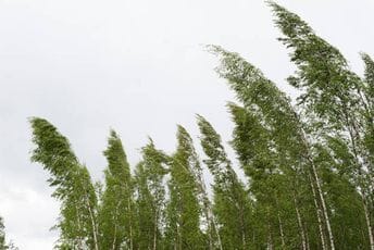 Izdat crveni meteoalarm: Vjetar olujne jačine u Podgorici i na primorju