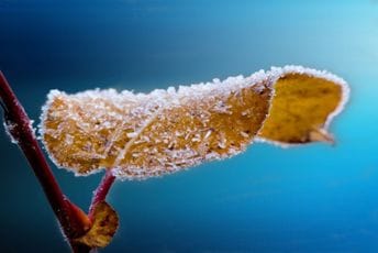 Ledeno jutro širom Crne Gore, temperature se spuštale  ispod nule: Evo gdje je izmjeren najveći minus