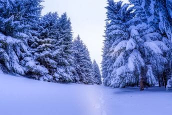 Danas počinje zima, pred nama najkraći dan godine