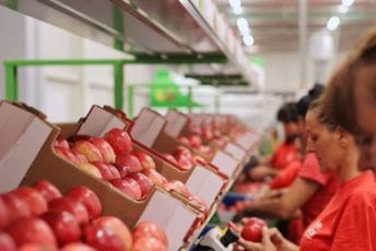 Znanjem i ulaganjem do konkurentnog proizvoda: Jabuke, sokovi i džemovi vrhunskog kvaliteta na policama crnogorskih marketa Znanjem i ulaganjem do konkurentnog proizvoda: Jabuke, sokovi i džemovi vrhunskog kvaliteta na policama crnogorskih marketa