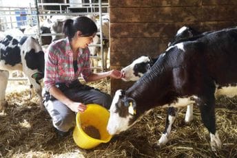 Karijatide crnogorske poljoprivrede preteča savremenih preduzetnica Karijatide crnogorske poljoprivrede preteča savremenih preduzetnica