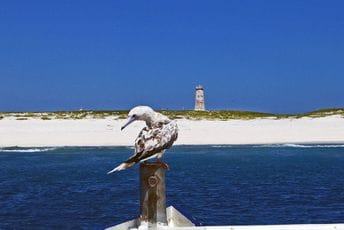 Posljednje mjesto na koje stiže Nova godina: Tamo baš i nema ko da je slavi Posljednje mjesto na koje stiže Nova godina: Tamo baš i nema ko da je slavi