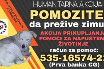 NVO Prijatelji životinja Podgorica: Nastavlja se humanitarna akcija "Pomozite da prežive zimu“ NVO Prijatelji životinja Podgorica: Nastavlja se humanitarna akcija "Pomozite da prežive zimu“