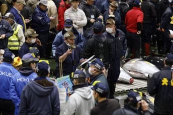 Tokio: Tuna prodata na aukciji za 789.000 dolara Tokio: Tuna prodata na aukciji za 789.000 dolara