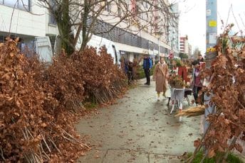 Na više lokacija u Podgorici počela prodaja badnjaka Na više lokacija u Podgorici počela prodaja badnjaka