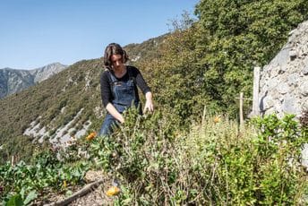 Geografski smo blizu: U ovoj državi se mladi masovno okreću poljoprivredi i dobro zarađuju Geografski smo blizu: U ovoj državi se mladi masovno okreću poljoprivredi i dobro zarađuju
