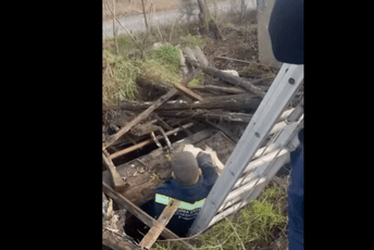 (VIDEO) Podgorički spasioci izvadili zaglavljenog psa iz bunara (VIDEO) Podgorički spasioci izvadili zaglavljenog psa iz bunara