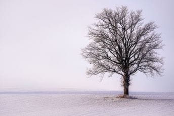 Vrhunac hladnog talasa za vikend: U pojedinim gradovima biće i do minus 12 Vrhunac hladnog talasa za vikend: U pojedinim gradovima biće i do minus 12