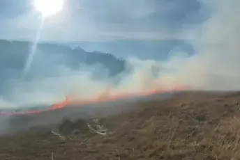 Ponovo gorjelo na visoravni Konjsko, mještani ugasili požar Ponovo gorjelo na visoravni Konjsko, mještani ugasili požar