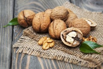 Orah ne podsjeća slučajno na mozak: Žir boga Jupitera prirodna zaštita od demencije Orah ne podsjeća slučajno na mozak: Žir boga Jupitera prirodna zaštita od demencije