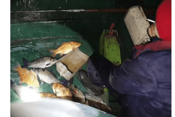 Saičić: Četiri osobe uhvaćene u krivolovu na Skadarskom jezeru Saičić: Četiri osobe uhvaćene u krivolovu na Skadarskom jezeru