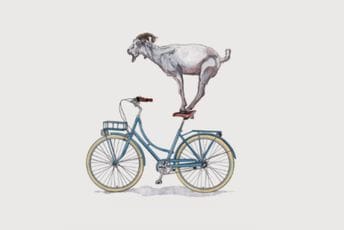 Prvi Biciklistički ustanak u Titogradu ili drugi udar (na) koze Prvi Biciklistički ustanak u Titogradu ili drugi udar (na) koze