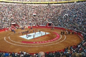 Meksiko vraća borbe s bikovima Meksiko vraća borbe s bikovima