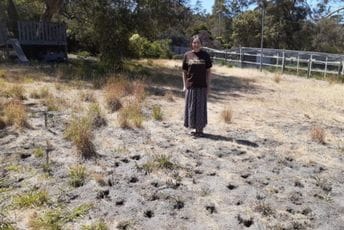 Ovo je najružniji travnjak na planeti, upravo je osvojio i nagradu Ovo je najružniji travnjak na planeti, upravo je osvojio i nagradu