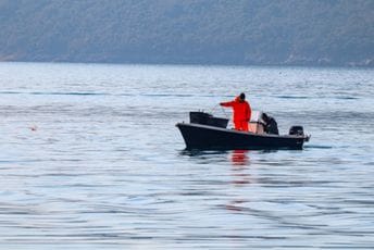 Kise Jokoviću: Očekujemo da za 15 dana organizujete sastanak