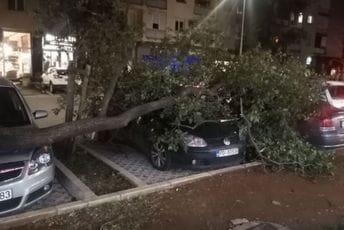 Podgorica: Vjetar oborio stabla, pričinjena materijalna šteta Podgorica: Vjetar oborio stabla, pričinjena materijalna šteta