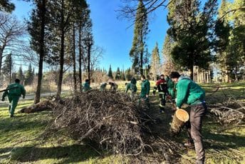 Počelo uklanjanje izgorelih i osušenih stabala sa vrha Gorice Počelo uklanjanje izgorelih i osušenih stabala sa vrha Gorice