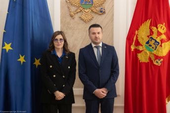 Pejović: Crna Gora rijetka država u kojoj nema euroskeptičnih partija u Skupštini Pejović: Crna Gora rijetka država u kojoj nema euroskeptičnih partija u Skupštini