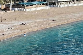 Januarsko kupanje na Kamenovu Januarsko kupanje na Kamenovu