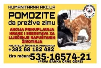 Poziv za pomoć napuštenim životinjama: Pomozite da prežive zimu Poziv za pomoć napuštenim životinjama: Pomozite da prežive zimu